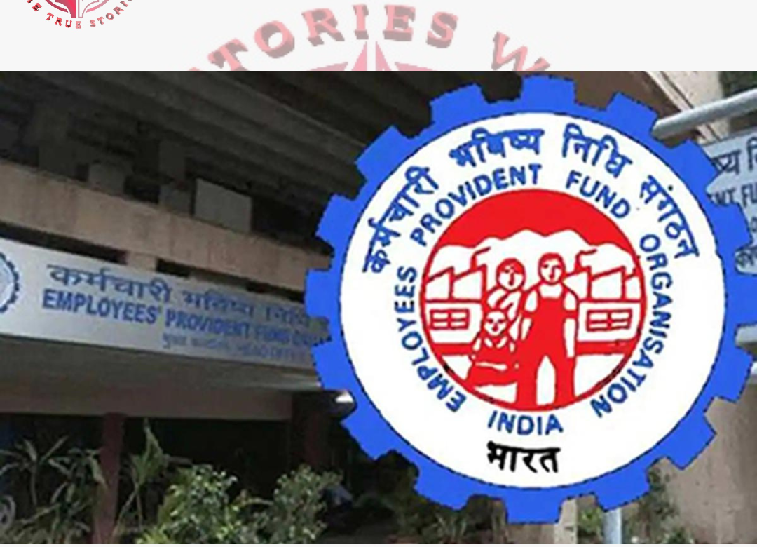 EPFO Account Holders