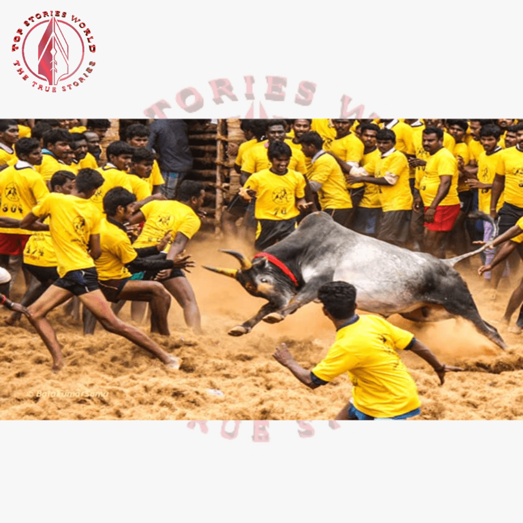 Supreme Court upholds legal recognition of Jallikattu, says it is not cruelty but culture