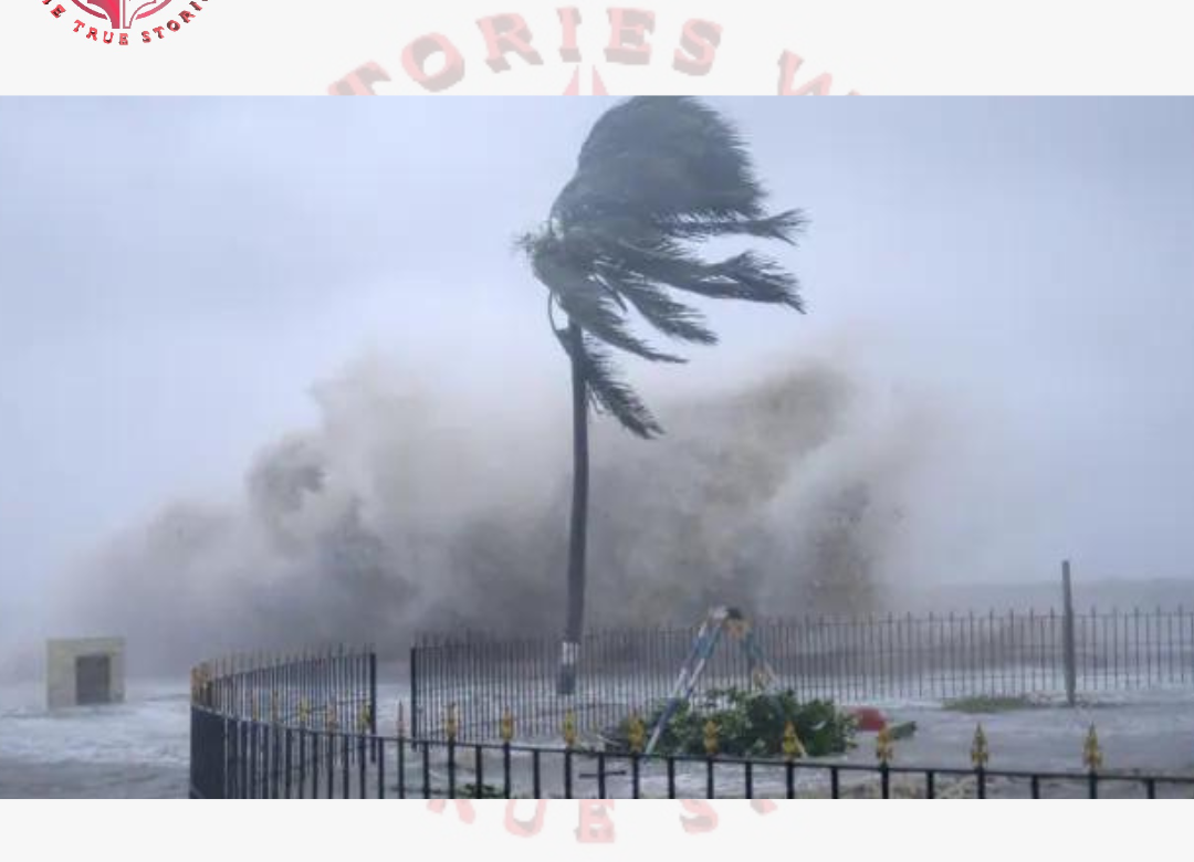 Cyclone Biporjoy: धीरे-धीरे मजबूत हो रहा चक्रवात ‘बिपर्जॉय’, भारत में इन जगहों पर भारी तबाही मचाएगा